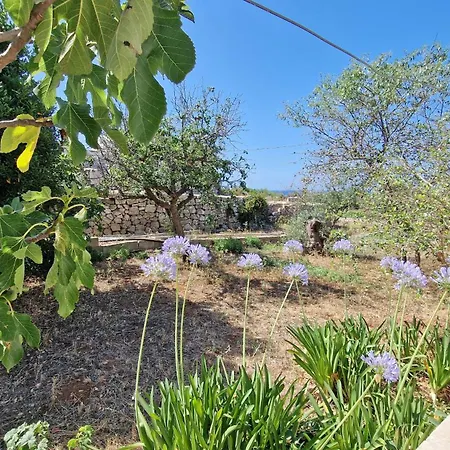 Tenuta Rizzello *