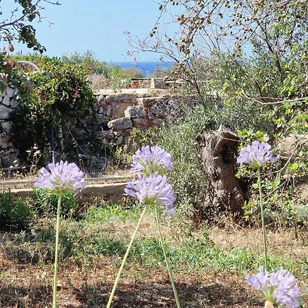 Lejlighed Tenuta Rizzello
